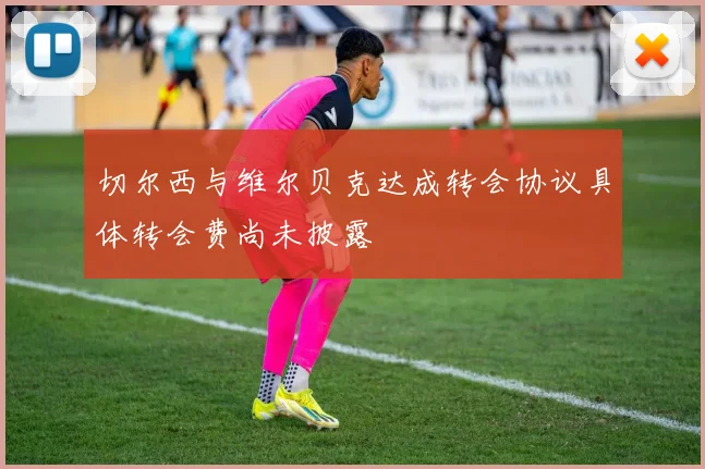 切尔西与维尔贝克达成转会协议具体转会费尚未披露