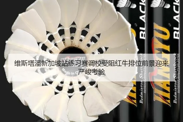 维斯塔潘新加坡站练习赛调校受阻红牛排位前景迎来严峻考验